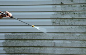 Vinyl Siding Cleaning